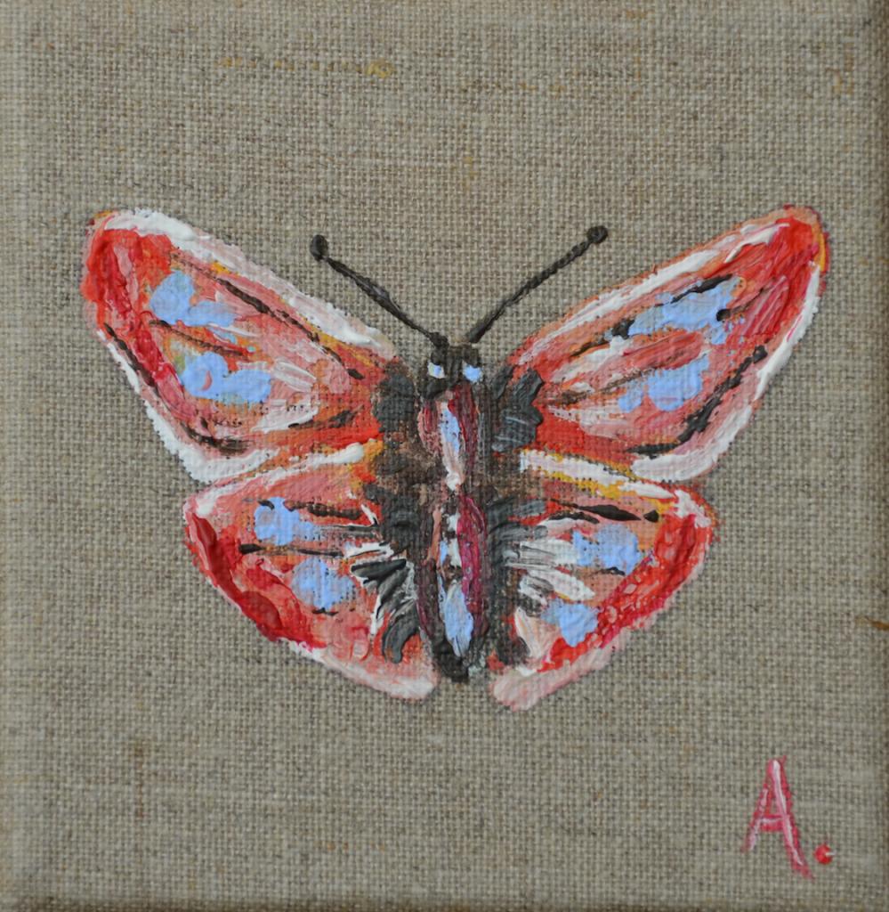 papillon 10X10