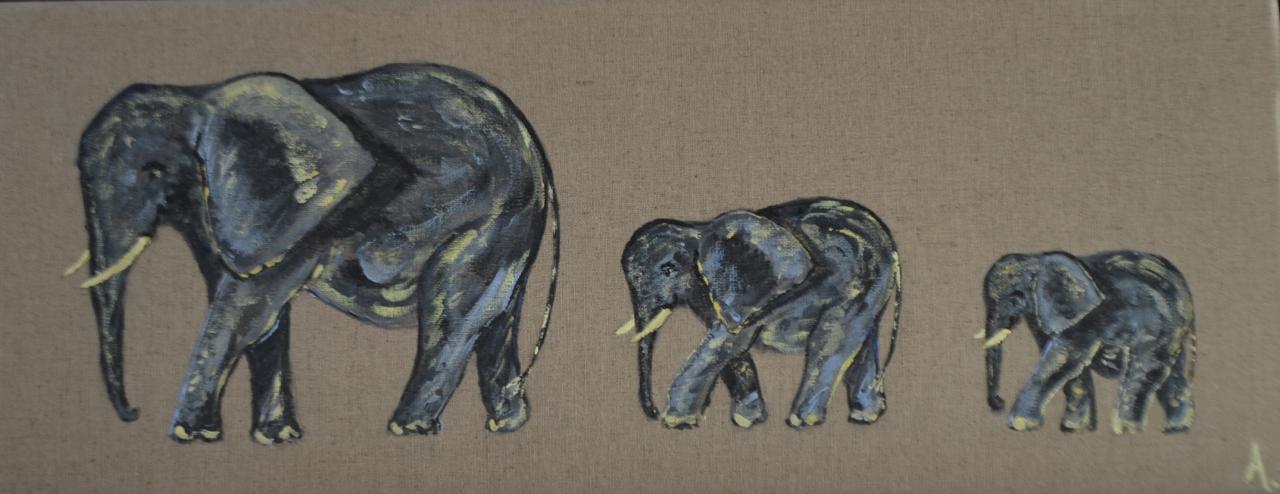 Trois éléphants gris 20X50